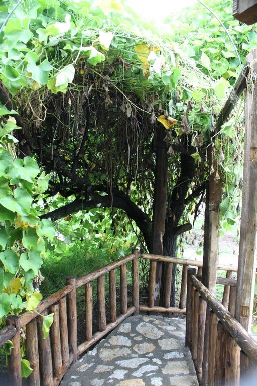 Villa La Tierra Grande Zacatlán Zimmer foto